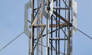 a5647f_c0d36431d71b43ffb48d9a2603647de0_mv2