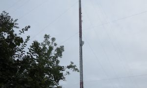 a5647f_fe84cff2b5e3466eb2970eee174125fe_mv2