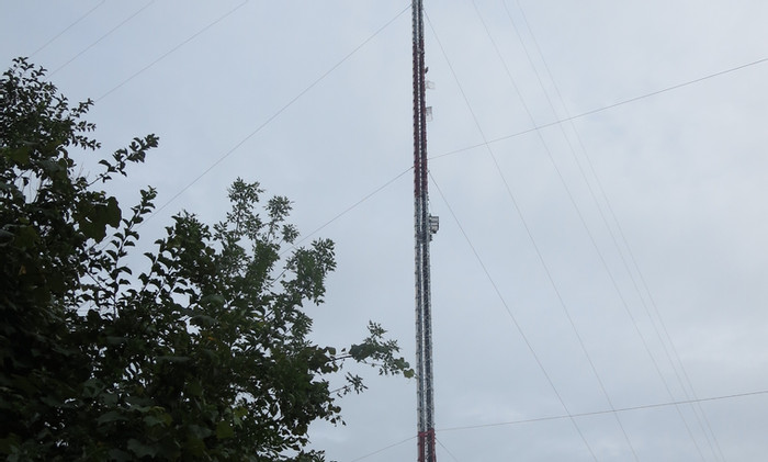 a5647f_fe84cff2b5e3466eb2970eee174125fe_mv2